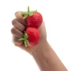 Discovery Zone Squishy Strawberry Hot